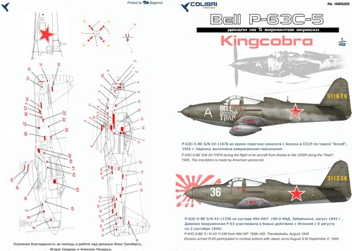 Decalcomania campana - 1:48,